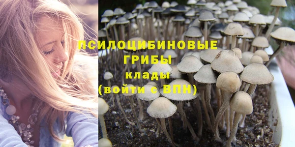 гидропоника Верхний Тагил