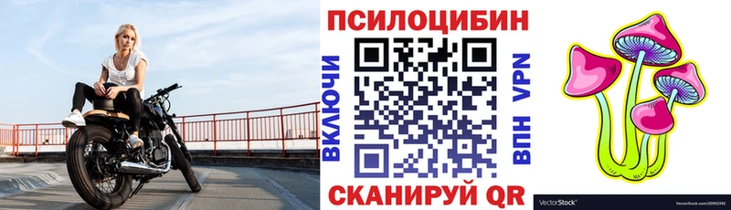 Псилоцибиновые грибы GOLDEN TEACHER  даркнет сайт  Губкин 
